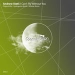 cover: Andrew Stets - I Can't Fly Without You (remixes)