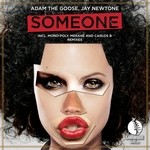 cover: Adam The Goose|Jay Newtone - Someone (remixes)