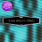 cover: S File - Modulate Remixes