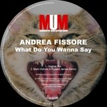 cover: Andrea Fissore - What Do You Wanna Say