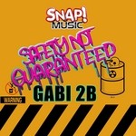 cover: Gabi 2b - Safety Not Guaranteed