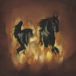 cover: The Besnard Lakes - The Besnard Lakes Are The Dark Horse