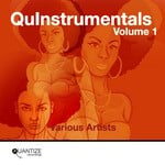 cover: Various - Quantize QuInstrumentals Volume 1