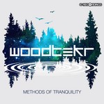 cover: Woodtekr - Methods Of Tranquility