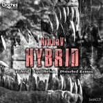 cover: Ninna V - Hybrid