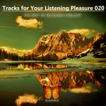 cover: Various - Tracks For Your Listening Pleasure 020