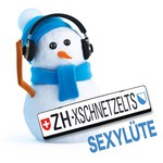 cover: Dj Boombastic A - Zarri Xschnetzelts Sexylaete