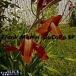 cover: Frank Martin - DoCoPo EP