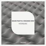 cover: Picotto, Mauro|Riccardo Ferri - Moonquake