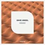 cover: Dave Angel - Homage EP