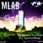 cover: Mlab - Choose Your Path