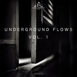 cover: Williams & Townley|Pohl Abraira|Dubbtone & Tileff|Di Sante, Daniel|Vedran Komm - Underground Flows Vol 1