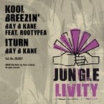 cover: Bay B Kane|Rootypea - Kool Breezin'