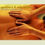 cover: Various - Ambient 4 Relaxation The Perfect Background Vol 2