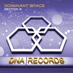 cover: Dominant Space - Section 9