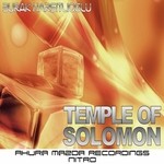 cover: Burak Harsitlioglu - Temple Of Solomon