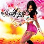 cover: Various - Soca Gold 2013