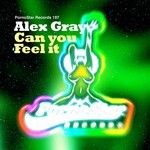 cover: Alex Gray - Can You Feel It