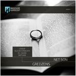 cover: Net Son - Gredzens