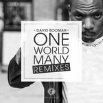 cover: David Boomah - One World Many (Remixes)