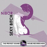 cover: Nibor - Sexy Bitch