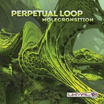 cover: Perpetual Loop - Molecronsition