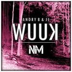 cover: Andry B & Jj - Wuuk