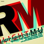 cover: Deep Sour Collective - Where The Hear Takes You (remixes)