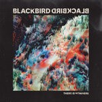 cover: Blackbird Blackbird - There Is Nowhere