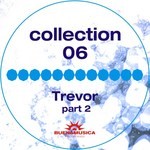 cover: Various - Collection 06: Trevor Part 2