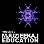 cover: Various - Mjuzieekal Education Volume 3