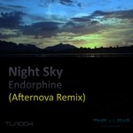 cover: Night Sky - Endorphine