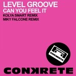 cover: Level Groove - Can You Feel It