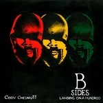 cover: Cody Chesnutt - Landing On A Hundred: B Sides & Remixes