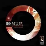 cover: Demuir - The Moment