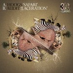 cover: Audit|Hoogs - Safari