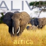 cover: Alive - Africa