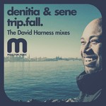 cover: Denetia|Sene - Trip Fall