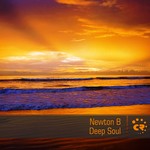 cover: Newton B - Deep Soul