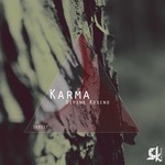 cover: Divine Kodino - Karma