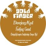 cover: Deejaykul - Feeling Good