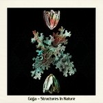 cover: Gojja - Structures In Nature