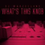 cover: Dj Marcellino - What's This Knob