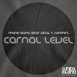 cover: Aitor Villa|Otero, Mario|T Sanchez - Carnal Level