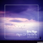 cover: Eric Rigo - Flight Of The Birds