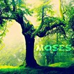 cover: Moses - Atmospheric Nature EP