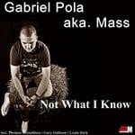 cover: Gary Dalhson|Louie Stick|Pola, Gabriel|Thomas Brenehmen - Not What I Know