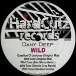 cover: Dany Deep - Wild