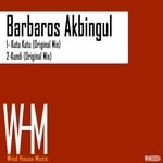 cover: Barbaros Akbingul - Kutu Kutu