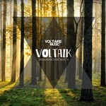 cover: Various - Voltaik Vol 14